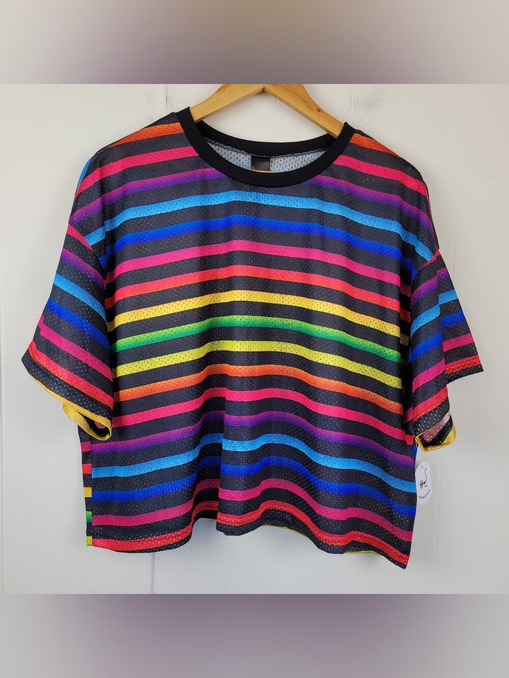 The Phluid Project XL Rainbow Striped Mesh T-Shirt